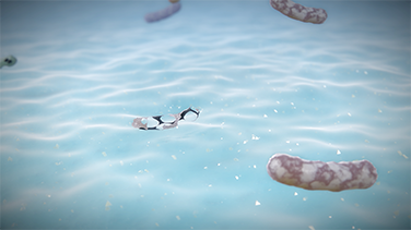 Microscopic image of bacteria in the protective barrier that is blue