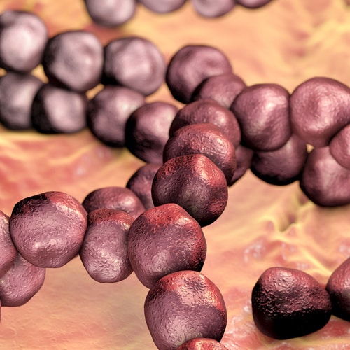 Close up of biofilm cell 