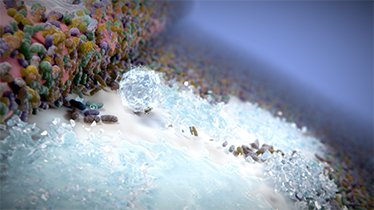 Microscopic image of bacteria inside of the mouth